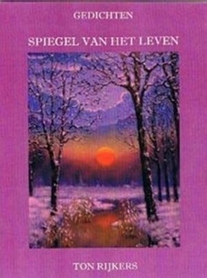 Spiegel Van Het Leven